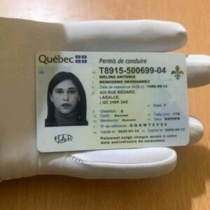 Online help for Quebec drivers license renewal on laptop in Canada