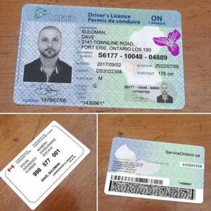 Fast Ontario Driver’s License Renewal | Skip the Wait in Days