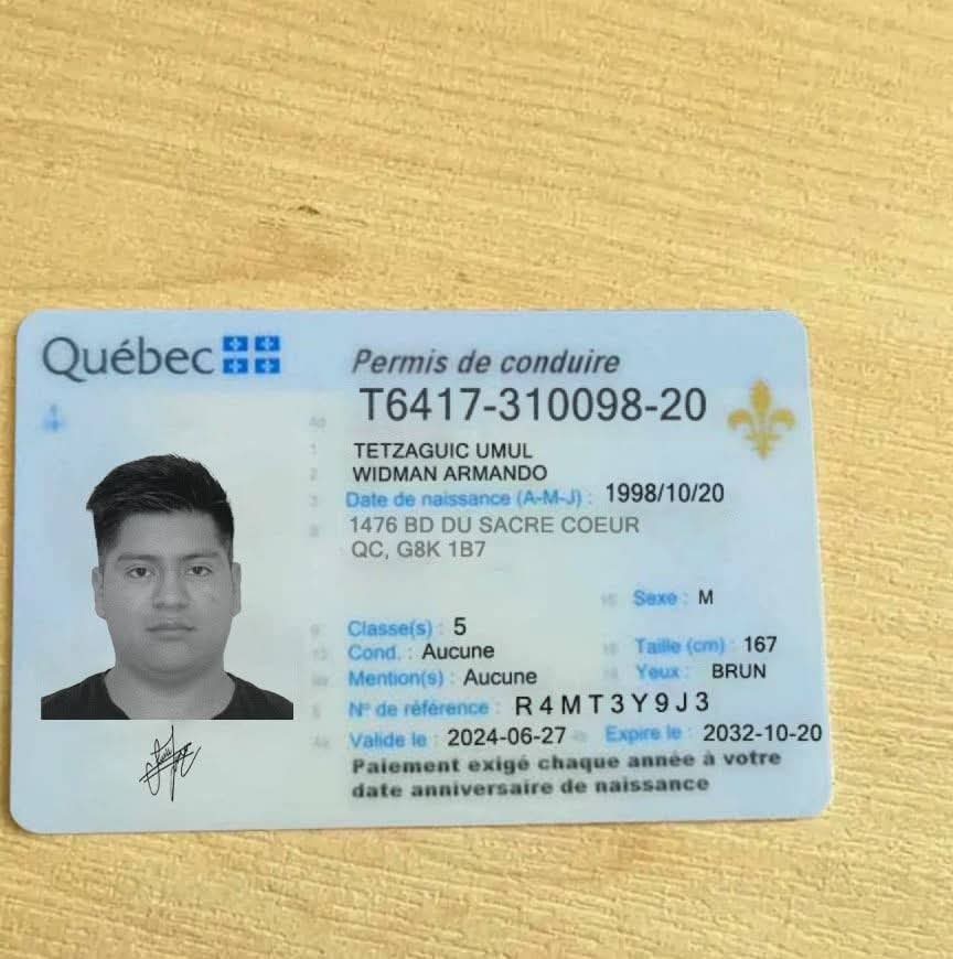 Online help for Quebec drivers license renewal on laptop in Canada